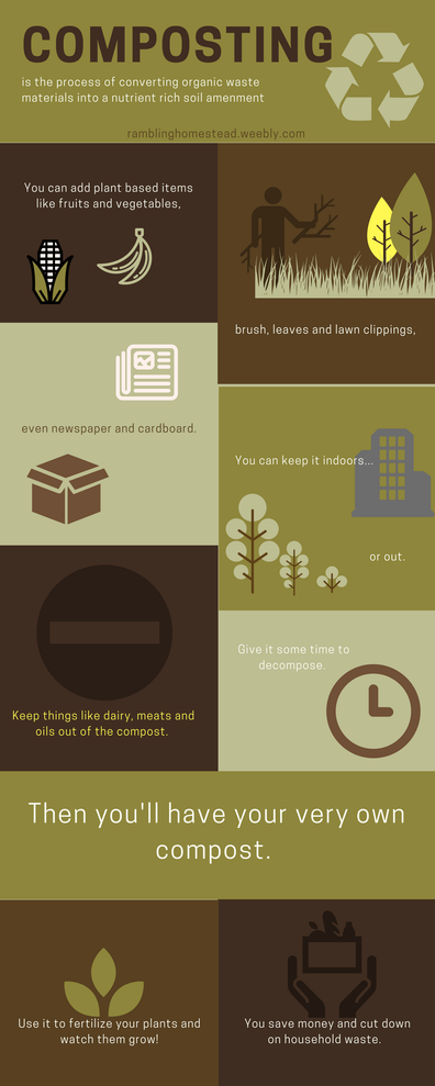 composting infographic