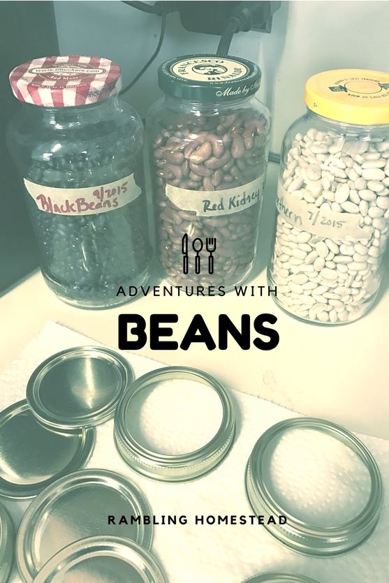 adventures with beans rambling homestead